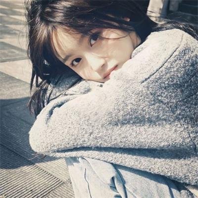 别惹猫咪：追捕虐猫者